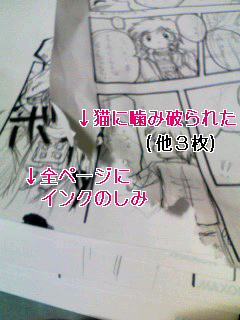rel_0005.jpg (240x320..16.2kb) up